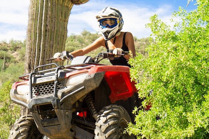 Sidewinder ATV Training & Centipede Tour Combo - Guided ATV Training & Tour - Pricing and Details