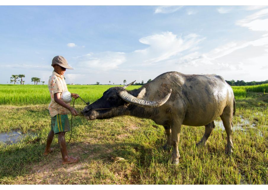 Siem Reap: Afternoon Cooking Class & Village Tour - Location Information