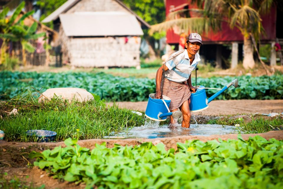 Siem Reap Countryside E-Bike Guided Tour With Village Life - Full Description