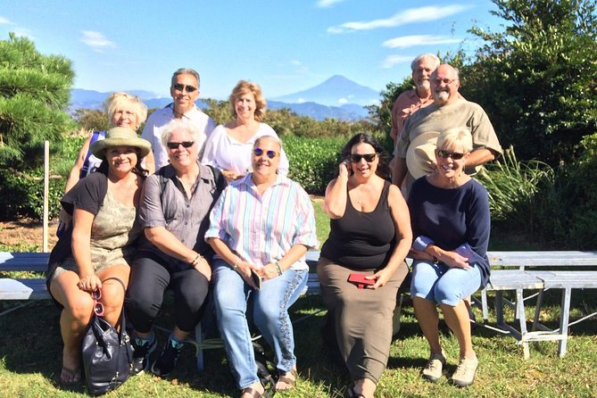 Sightseeing Around Shimizu Port for Cruise Ship Passengers - Cultural Experiences for Cruise Passengers