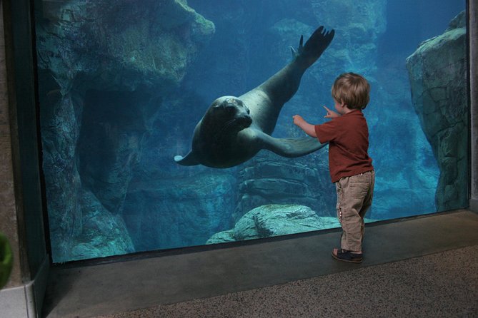 Skip the Ticketing Line: Aquarium of the Pacific General Admission Ticket - On-Site Parking and Transportation Options