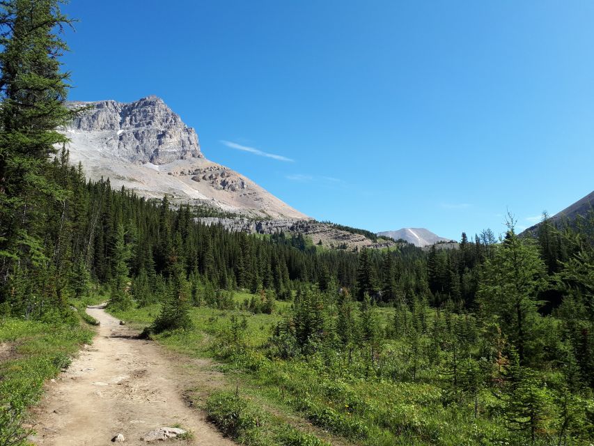 Skoki Lake Louise Daily Guided Hike in the Canadian Rockies - Exclusive Shuttle Access
