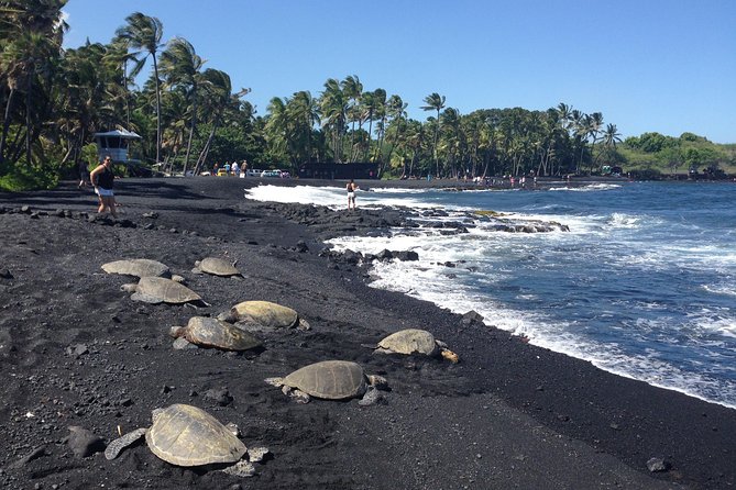 Small-Group Big Island Tour: Hawaii Volcanoes National Park and Kona Coffee Farm - Experience Description and Itinerary