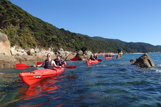 Small-Group Day Tour: Kayak and Hike Abel Tasman National Park  - Marahau - Contact Information