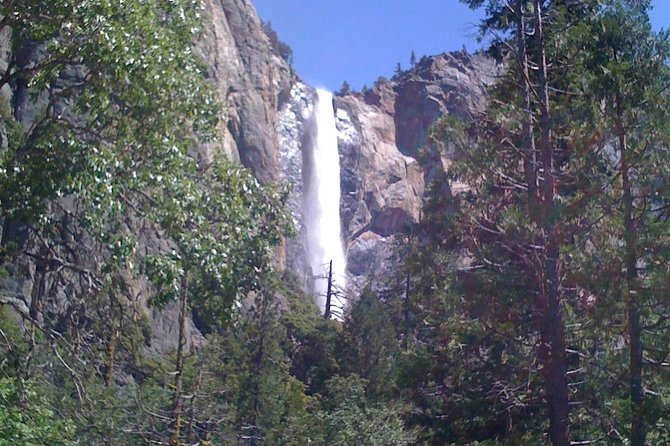 Small-Group Day Trip to Yosemite From Lake Tahoe - Reviews