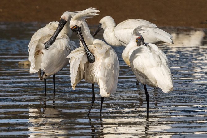 Small-Group Dunedin Wildlife Cruise - Customer Reviews