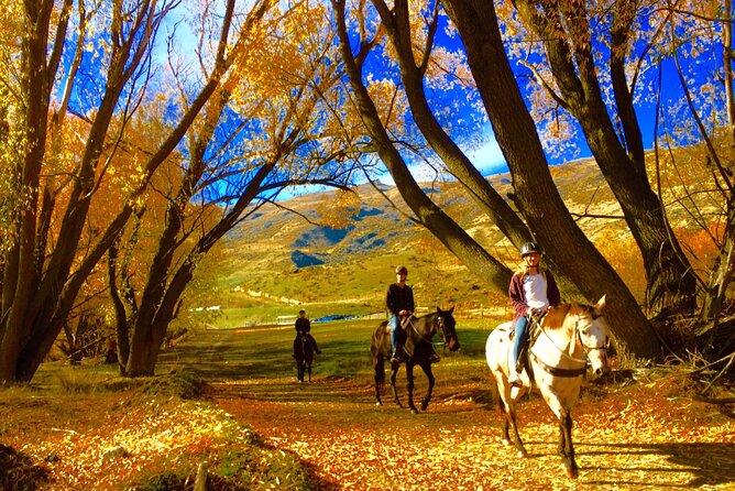 Small-Group Gold Discovery Horse Riding in Cardrona Valley - Starting Point at Cardrona Distillery