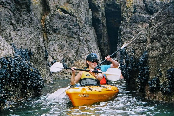 Small Group Guided Sea Kayaking in Akaroa Marine Reserve - Cancellation Policy