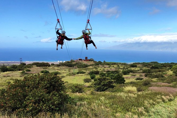 Small-Group Half-Day Maui Zipline Tour - Logistics and Timing