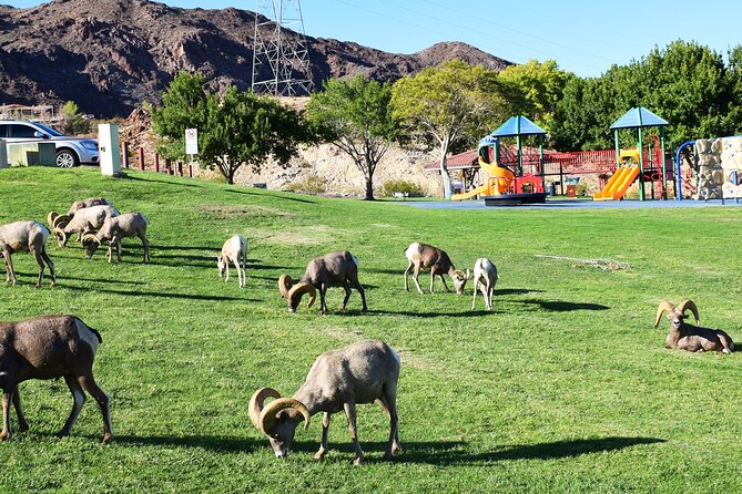 Small-Group Hoover Dam Tour From Las Vegas - Customer Experiences and Reviews