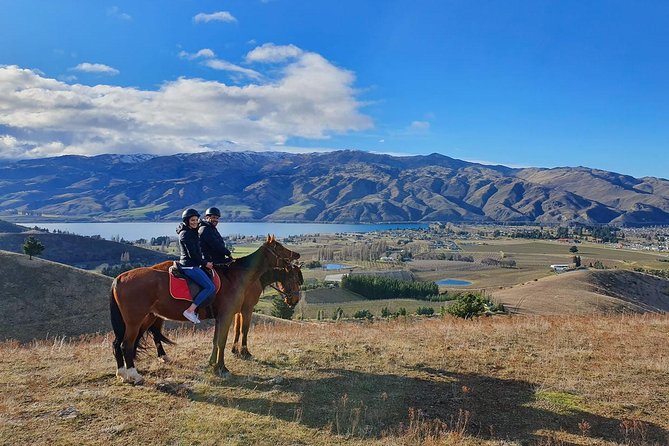 Small-Group Horse Trekking, Central Otago  - Queenstown - Health and Safety