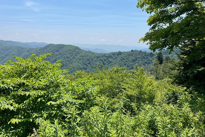 Small-Group Jeep Tour of Smoky Mountains Foothills Parkway - Cancellation Policy