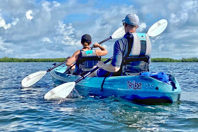 Small Group Kayak Tour of the Shell Key Preserve - Customer Reviews and Response