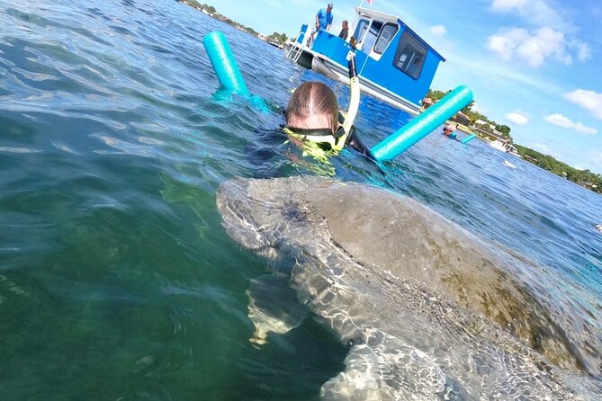 Small Group Manatee Snorkel Tour With In-Water Guide and Photographer - Tour Restrictions
