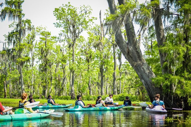 Small-Group Manchac Swamp Kayak Tour With Local Guide - Local Guide Expertise and Insights