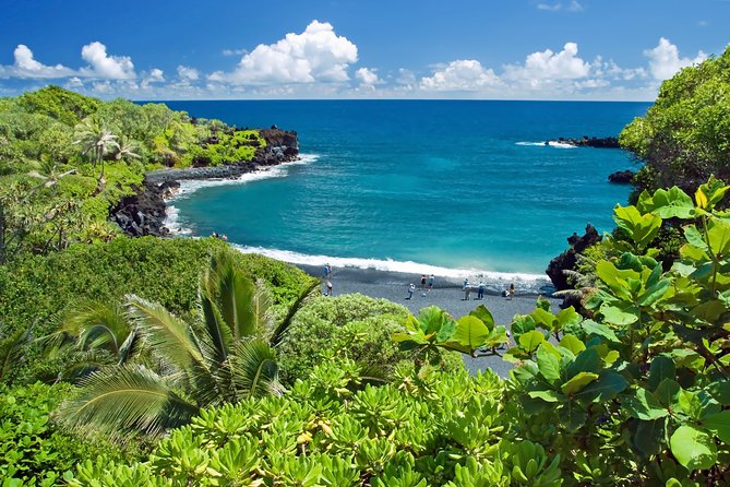 Small-Group Road to Hana Luxury Tour - Customer Reviews and Highlights