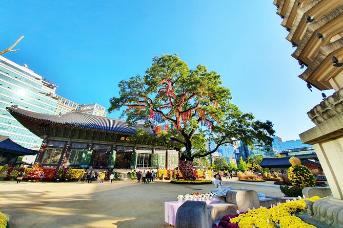 Small-Group Royal Palace and Seoul City Tour W/ Lunch - Insightful Tour Guides