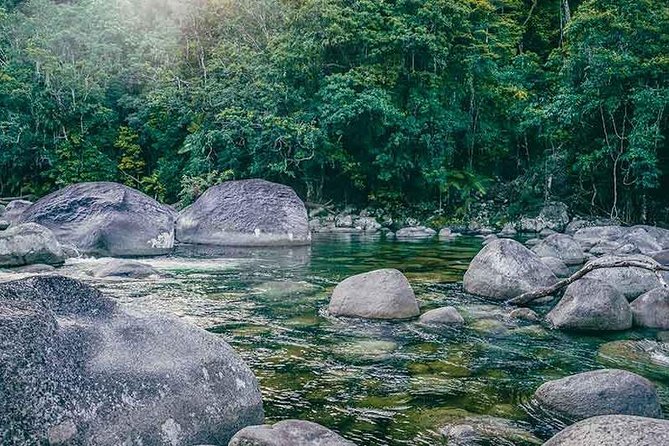 Small-Group Tour of the Daintree With an Aboriginal Guide  - Port Douglas - Freshwater Adventure