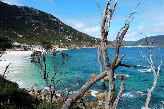 Small Group - Wilsons Promontory Hiking Day Tour From Melbourne - Wildlife Encounters