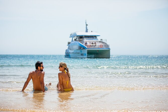 Snorkeling and Dolphin-Spotting Cruise at Moreton Island  - Brisbane - Customer Feedback