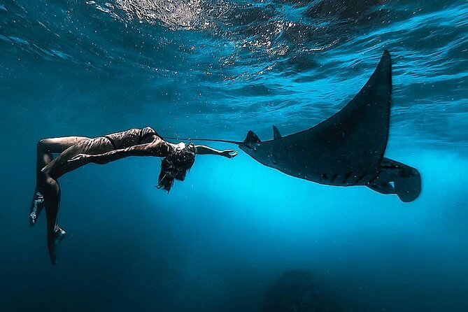 Snorkeling With Manta Rays in Nusa Penida Experience (All-Inclusive) - Practical Information
