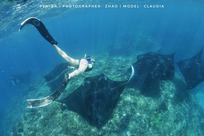 Snorkelling in Nusa Penida - Manta Point - Refund and Cancellation Policy