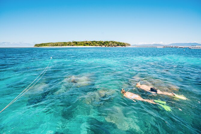 Snorkelling or Glass Bottom Boat at Green Island From Cairns - Reviews From Travelers