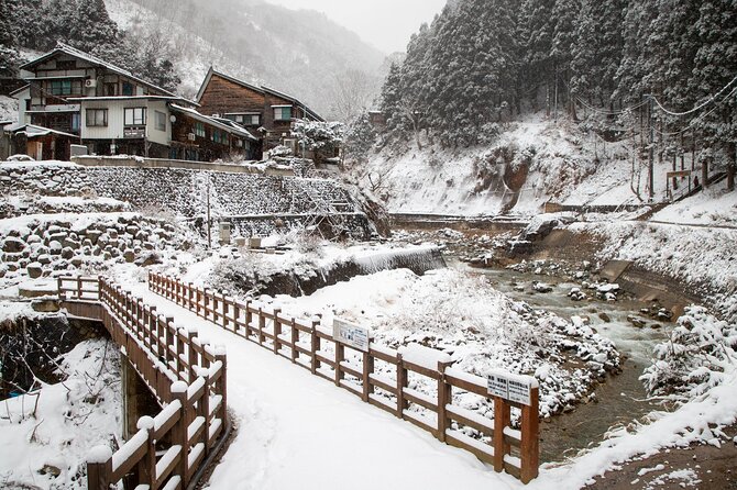Snow Monkey, Zenko Ji Temple, Sake in Nagano Tour - Tour Highlights and Attractions