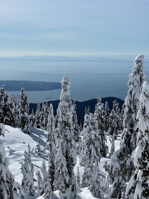 Snowshoeing in Vancouver's Winter Wonderland - Activity Highlights