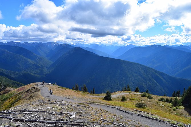 Sol Duc, Lake Crescent, and Hurricane Ridge Guided Tour in Olympic National Park - Location and Accessibility