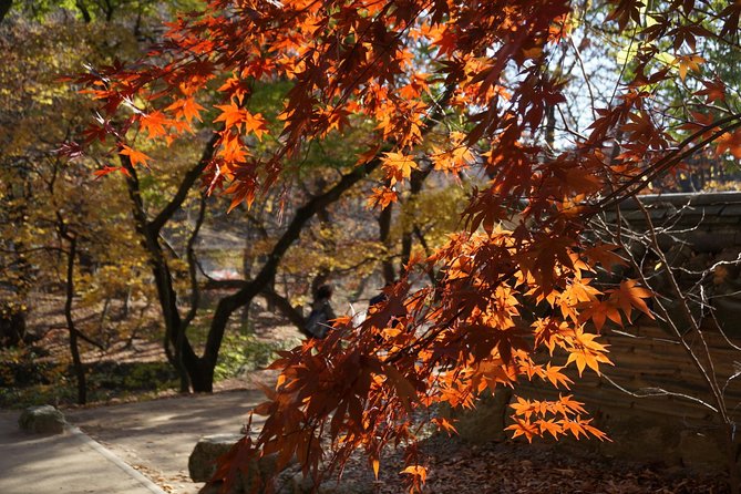 Songnisan National Park & Beopjusa Temple UNESCO Site Private Tour - Contact Information