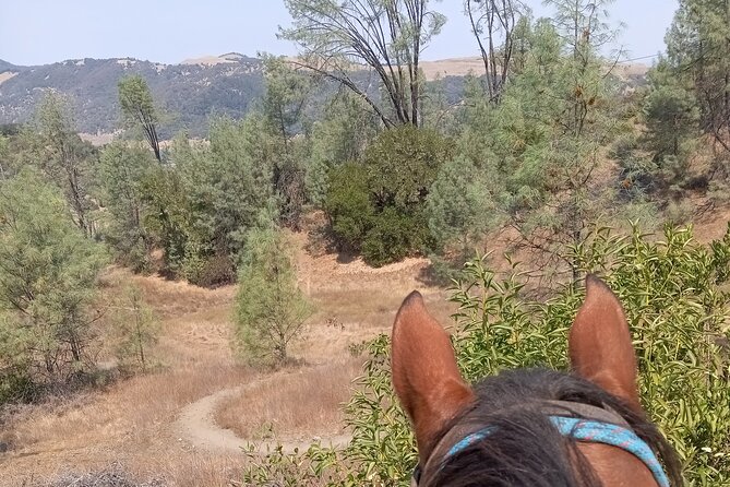 Sonoma Horseback-Riding Tour - Customer Support