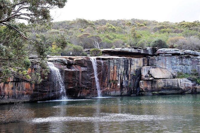 South Coast Day Tour, Blowholes, Lookouts, Bridge and Rainforest - Booking Information