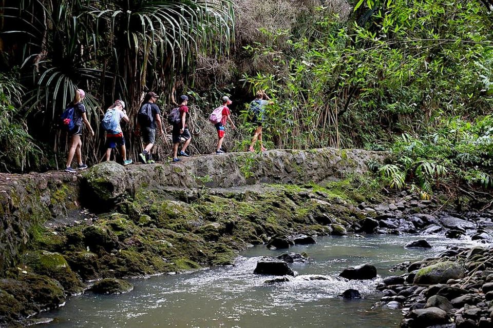 South Maui: Waterfall Tour W/ Kayak, Snorkel, and Hike - Detailed Description