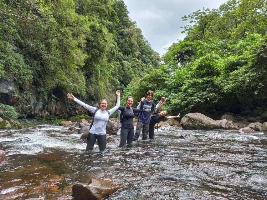 South of Brazil: Canyons, Rainforest and Waterfalls - Encountering Southern Brazils Wildlife