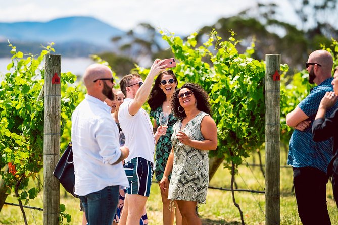 South Tasmania Full-Day Small-Group Wine Tour  - Hobart - Start Time and End Point