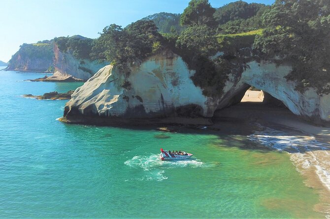 Speed Boat Tour to Cathedral Cove  - Whitianga - Tour Highlights