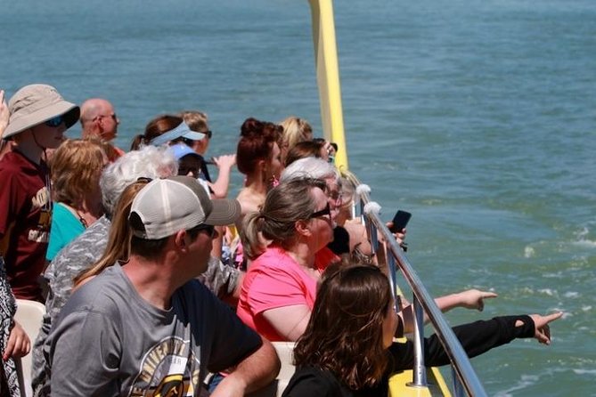St. Pete Beach Dolphin Racer Speedboat Adventure - Customer Reviews Summary