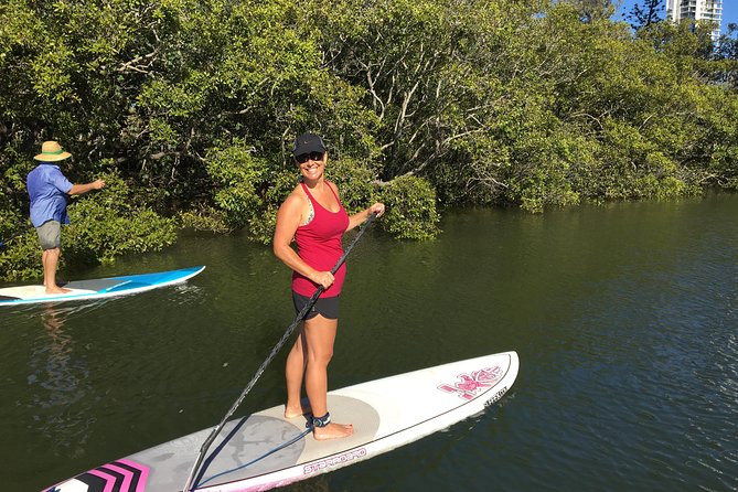 Stand up Paddle Hire - Reviews and Ratings