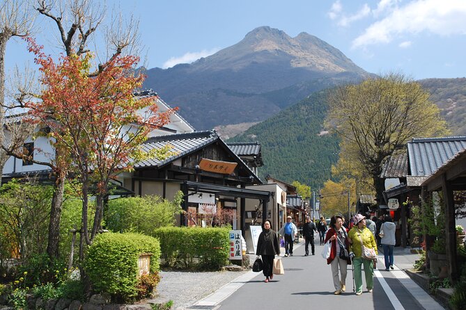 *Stay at Beppu, 2-Day Charter Bus Tour to Takachiho From Fukuoka - Viator Company Overview