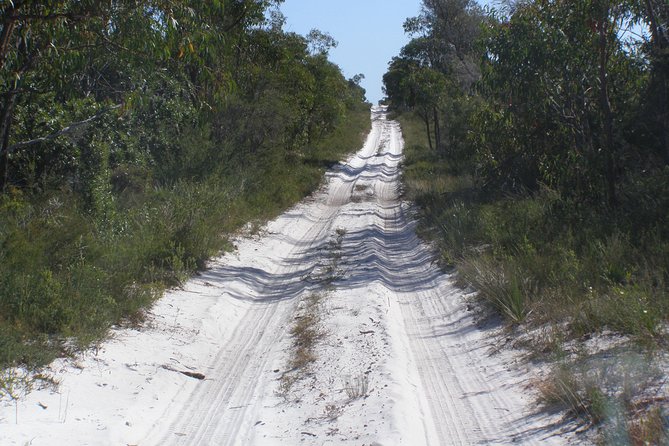 Stradbroke Island 4WD Day Trip From Brisbane - Traveler Feedback and Reviews