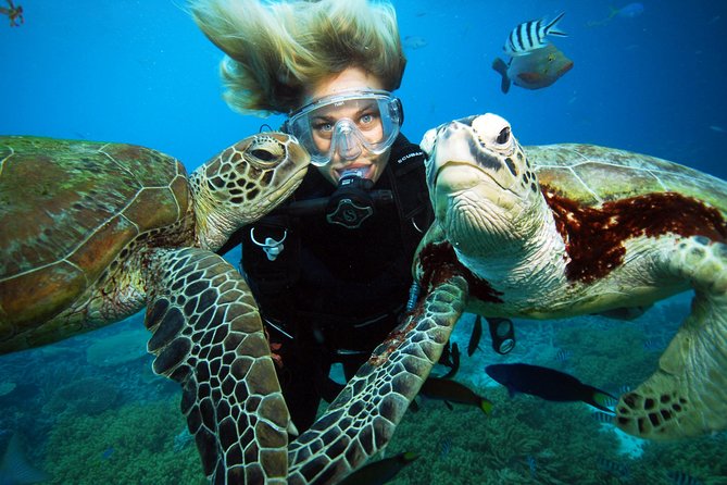 Sunlover Reef Cruises Cairns Great Barrier Reef Experience - Check-in Procedures