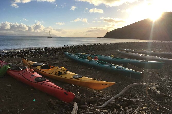 Sunrise Sea Kayaking Tour in Auckland - Tour Operator