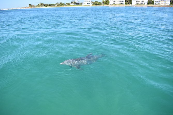 Sunset and Dolphin Cruise Around Fort Myers Beach - Customer Feedback