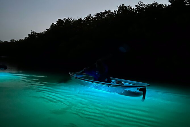 Sunset and Glow Clear Kayak Tour in North Naples - Inclusions and Exclusions
