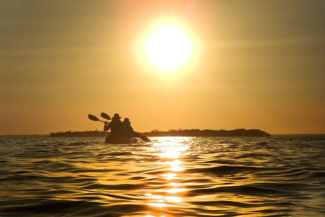 Sunset Bioluminescence Tour - Wildlife Encounters