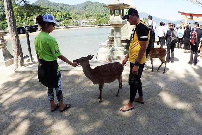 SUP Tour to See the Great Torii Gate of the Itsukushima Shrine up Close - Facilities and Safety Information