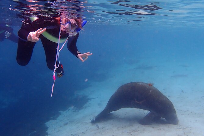 Swim With Manatees In Crystal River, Florida - Booking and Confirmation Details