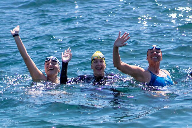 Swim With the Queen of the English Channel in New South Wales - Accessibility and Requirements