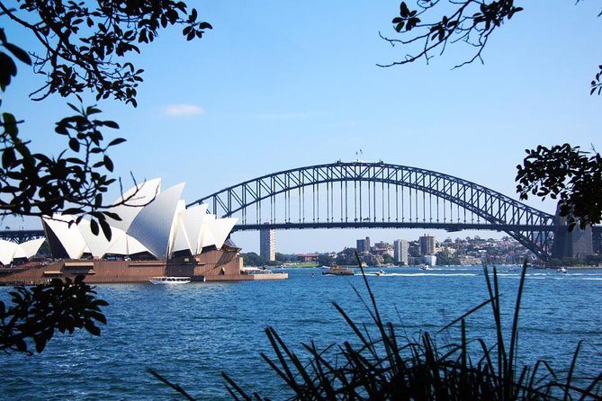 Sydney Half Day Private Tour: See Sydney Opera House and Bondi - Neighborhood Exploration